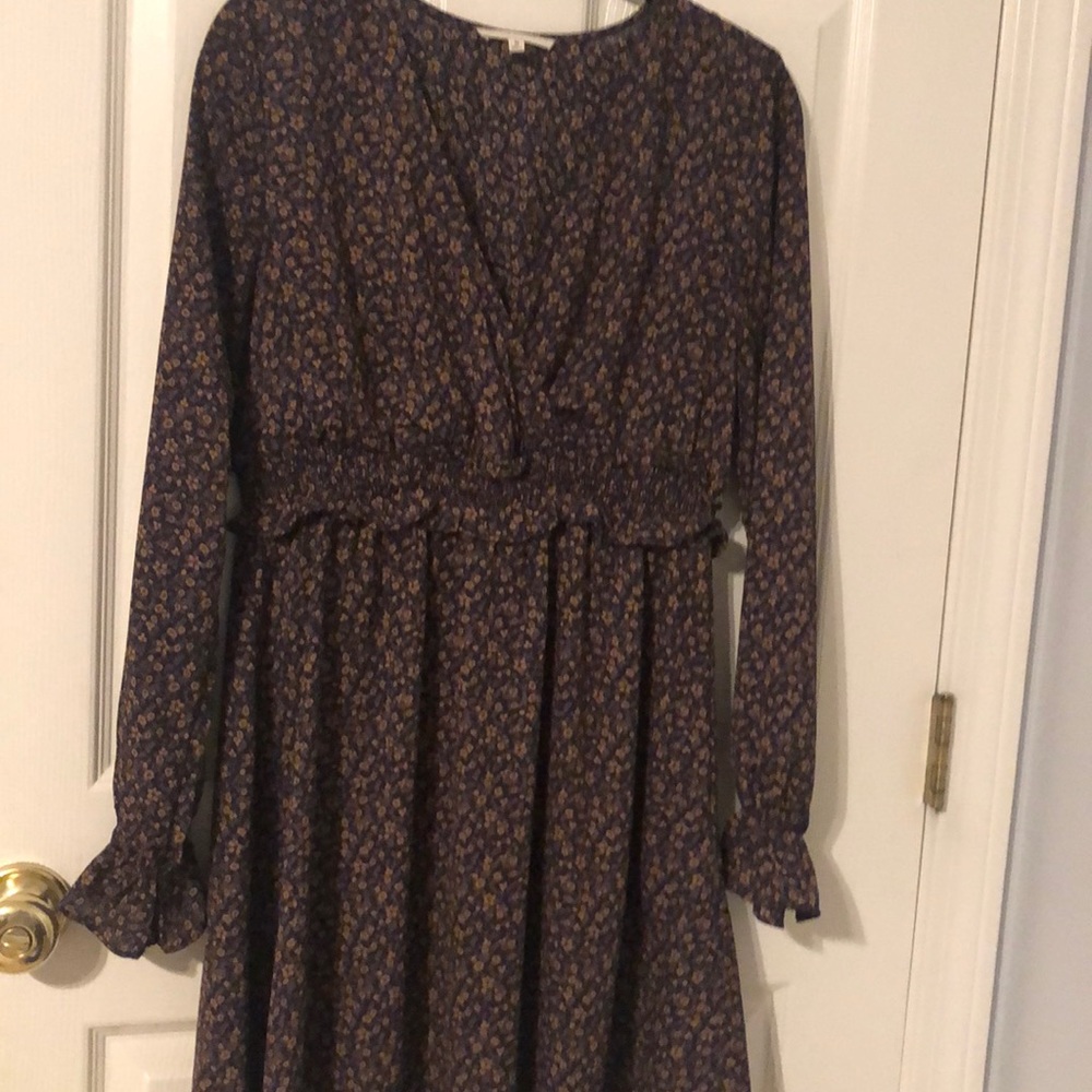 Le Lis long sleeve chiffon floral v neck dress with slip EUC